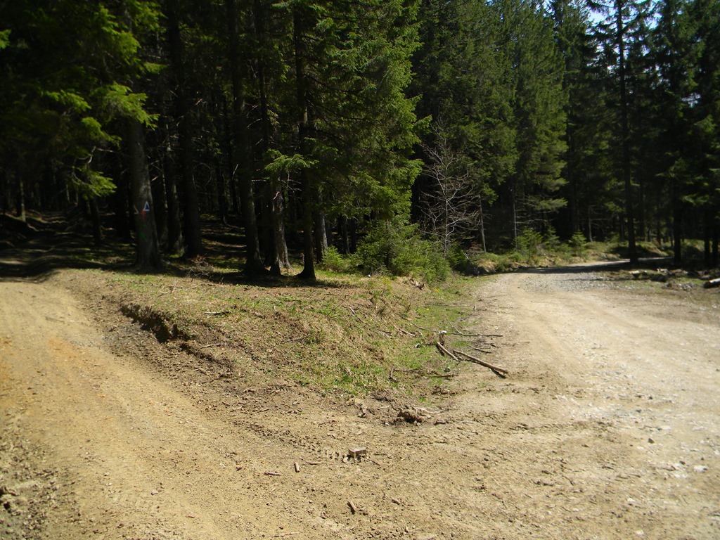 [DSCN78793.jpg]