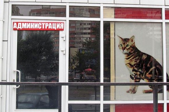 [2cf280fbf81c9a7861957ec1575_prev%255B2%255D.jpg]