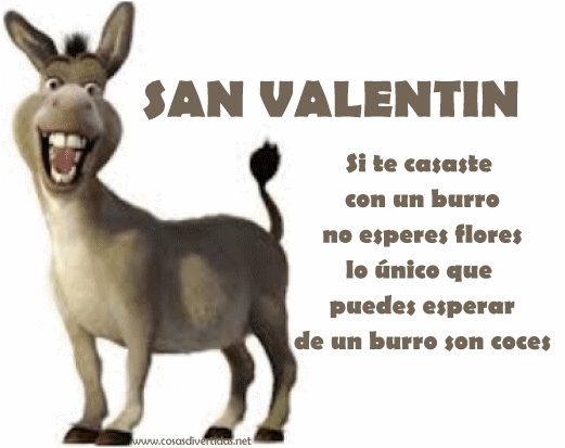 [BURRO%25201%255B2%255D.jpg]
