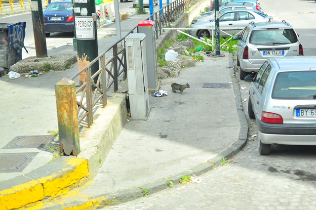 [DSC_0335%255B3%255D.jpg]