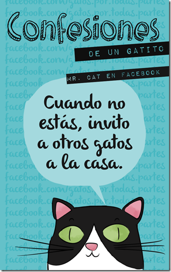 gatos confesiones gatunas cosasdivertidas (10) gatos confesiones gatunas cosasdivertidas (10)