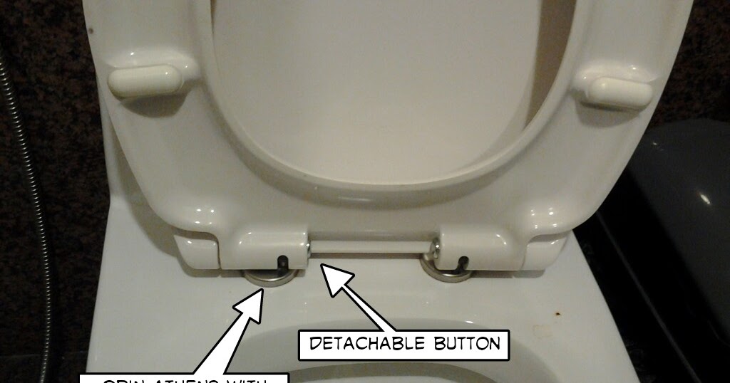 how-to-choose-your-toilet-seat-cover