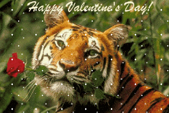 feliz san valentín (51) feliz san valentín (51)