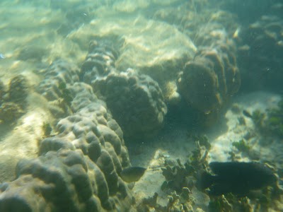 P1050256.JPG