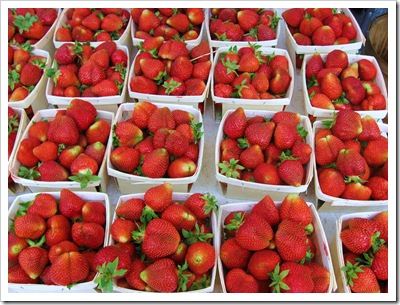 strawberries rhinebeck farmers market