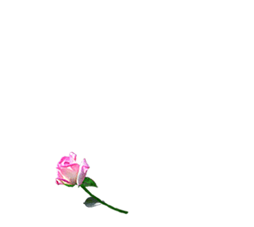 1188283775.gif