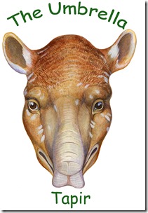 tapir