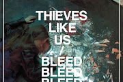 Thieves Like Us