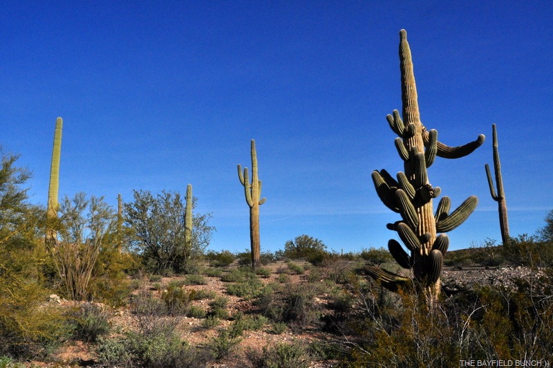 [DSC_0038%255B5%255D.jpg]