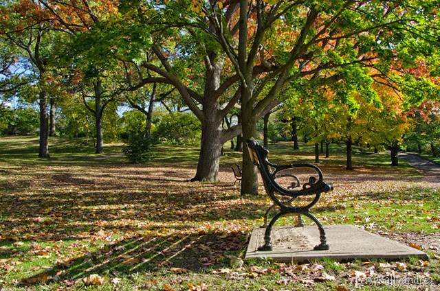 High Park Fall Colours | park bench | personallyandrea.com