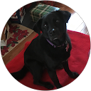 Teresa profile picture