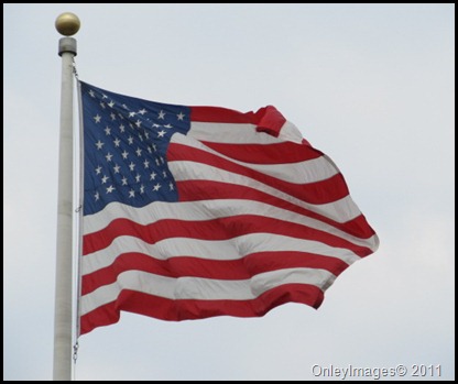 US Flag0811 (5)