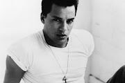 Nick Kamen