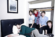 Foals