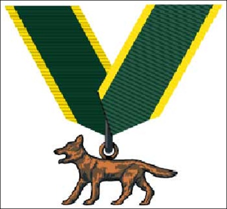 Bronze-Wolf-Award