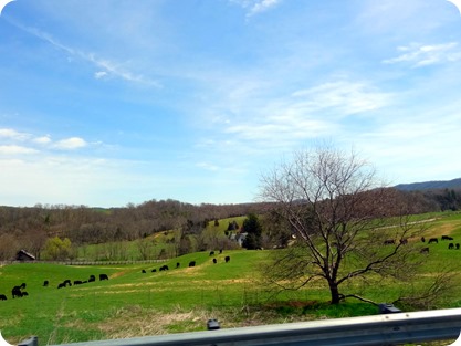 Ohio landscape