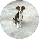 Raul garcia martinez