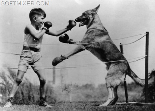 [clip_image016%255B7%255D.jpg]