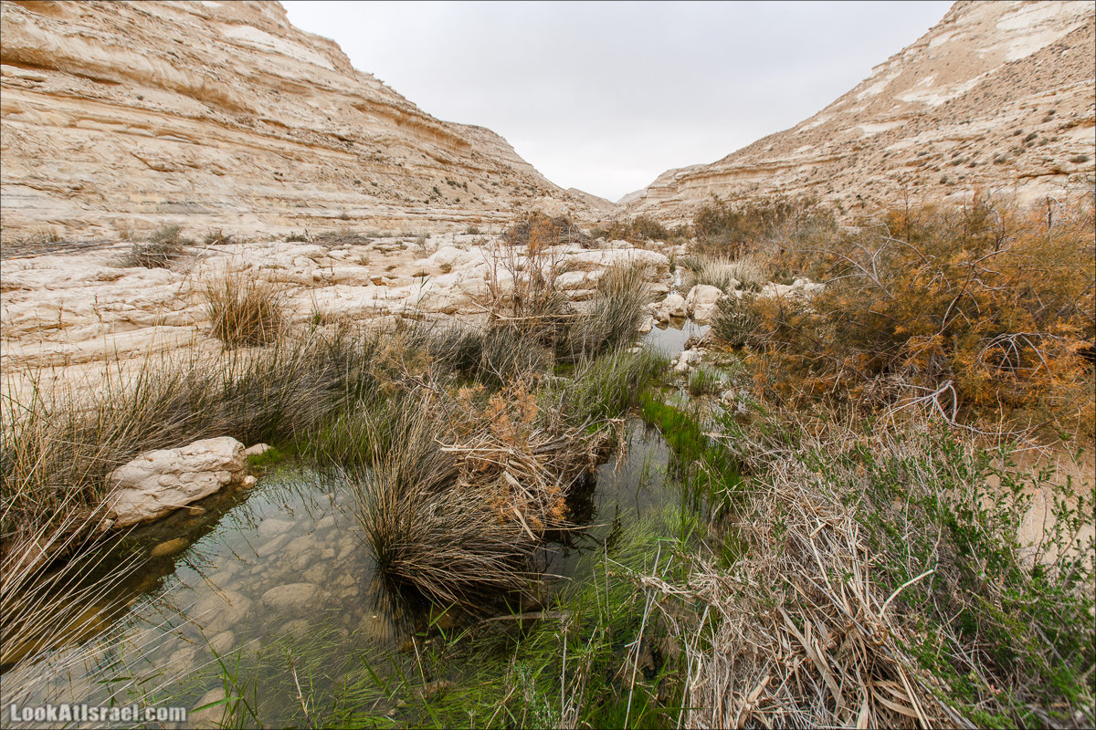 Ручей Акев и источник Эйн Акев в пустыне Негев. LookAtIsrael.com - Фото путешествия по Израилю