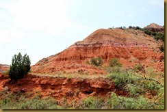 Palo Duro Canyon State Park, TX (82) (1024x681)