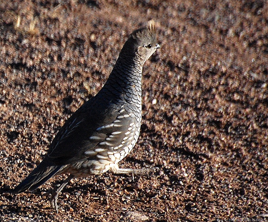 [DSC_5312%255B4%255D.jpg]