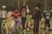 Bonzo Dog Doo Dah Band