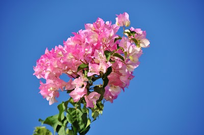 DSC_0135.JPG