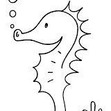 hippocampe.jpg