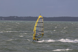 IMG_4541.JPG