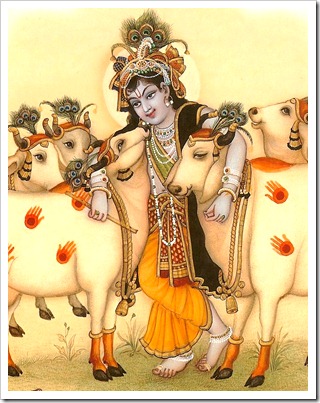 Krishna with cows Krishna with cows