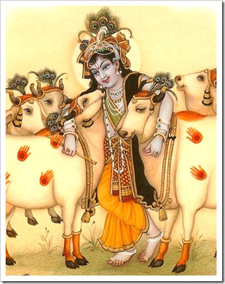 Krishna with cows