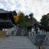 東大寺・紅葉(PK3_0275,21mm,F8,K3)2014yaotomi_.jpg