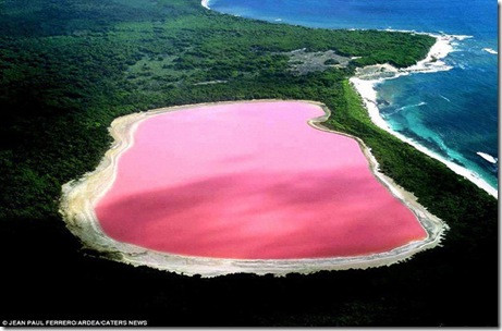 hillierr-lacul roz