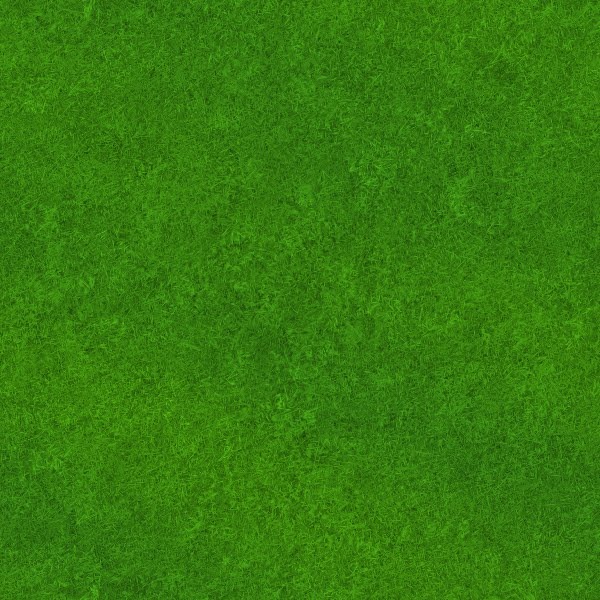[grass-texture-5%255B4%255D.jpg]