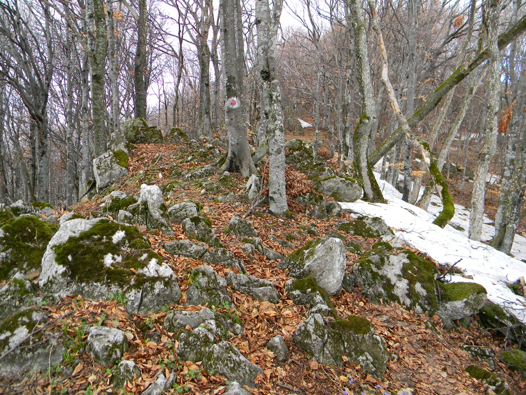 [DSCN79803.jpg]