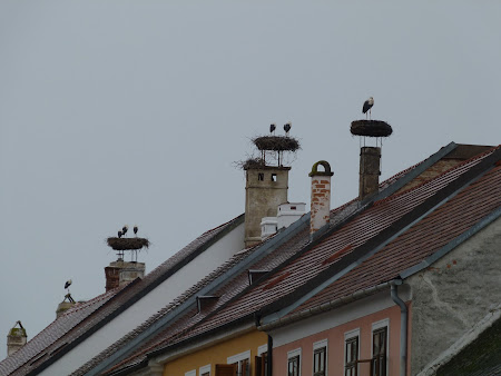 Imagini Austria: cuiburi de barza in Rust, Burgenland