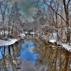 by Liz Okon - Landscapes Waterscapes