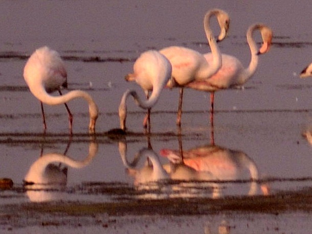 [DSC_1821-001%255B4%255D.jpg]