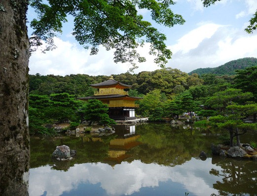 japão - kyoto - templo kinkakuji - Gloria Ishizaka