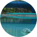 kroll kroll profile picture