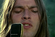 David Gilmour