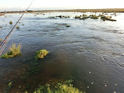 Skjern Au _ Oktober 2012 - 091