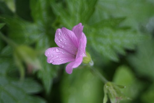 20100609 (1) (Small)