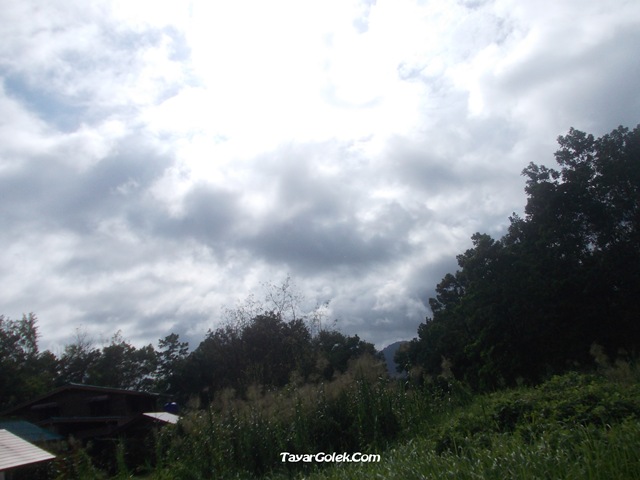 [DSCN14842.jpg]