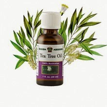 Tea Tree Oil / Масло чайного дерева косметическое