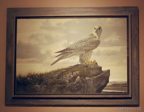 10. Gyr Falcon by RV Clem-kab
