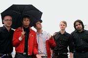 Maximo Park