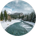 liviu5422 popa profile picture