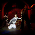 IMG_6436.jpg