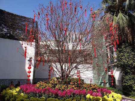 Senatul leal din Macao